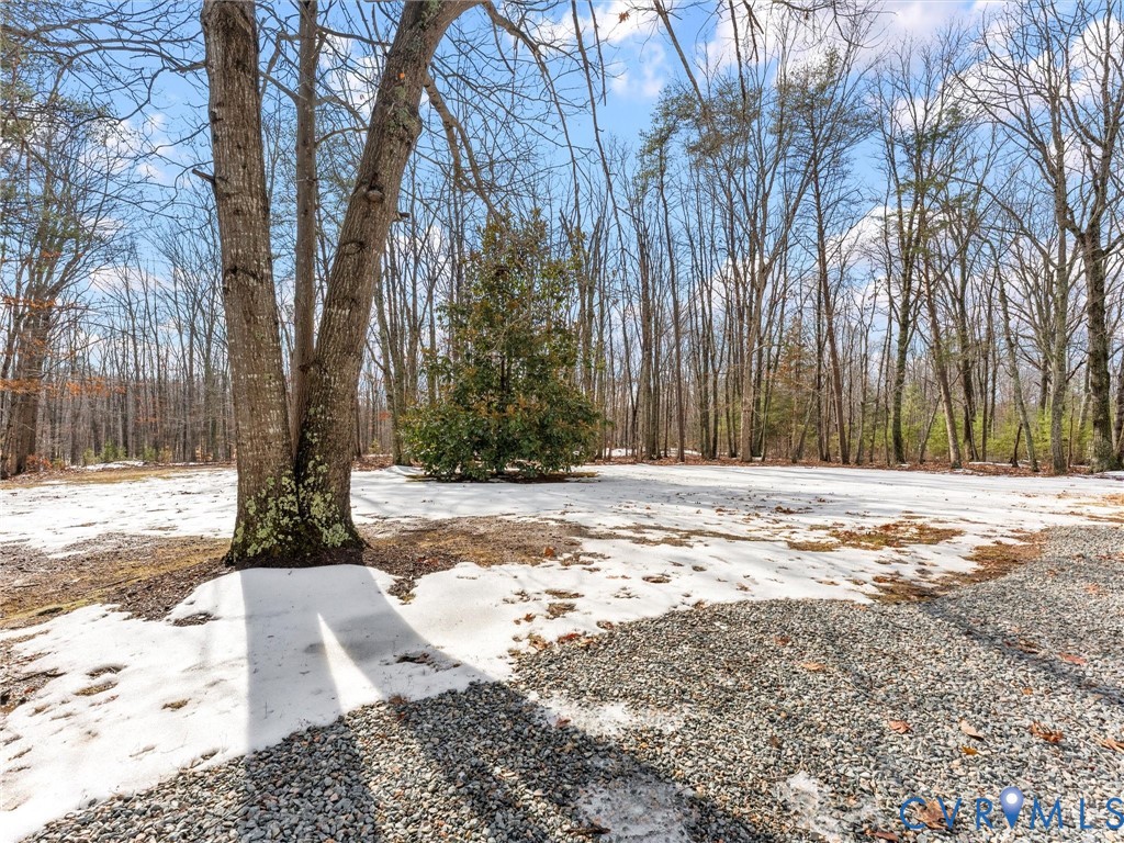 1339 Harris Creek Road Louisa, VA 23093 - Photo 39 of 42 a view of a yard with snow on the road