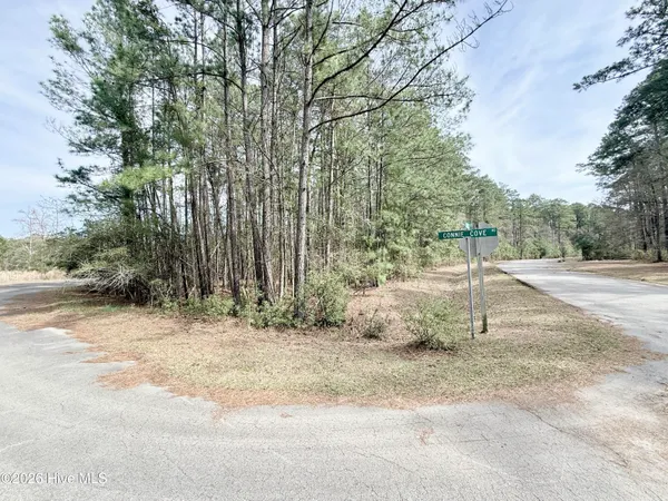 $55,000 | 0 Doris Drive, Oriental, NC 28571
