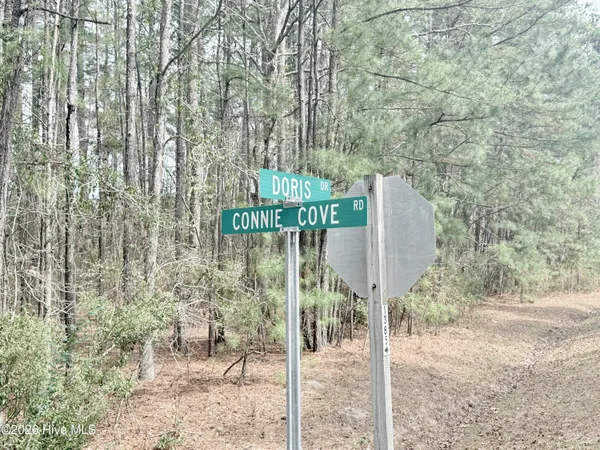 $55,000 | 0 Doris Drive, Oriental, NC 28571