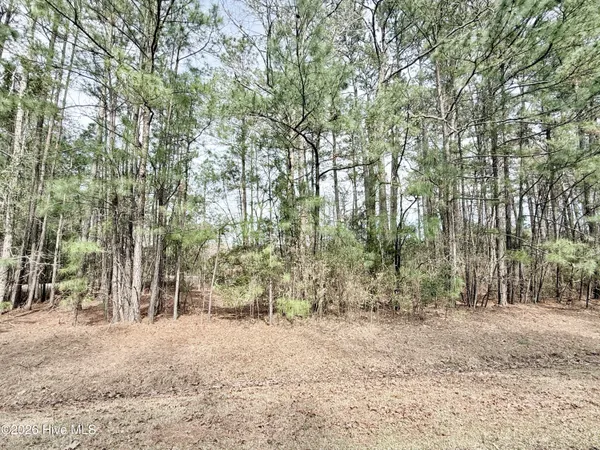 $55,000 | 0 Doris Drive, Oriental, NC 28571