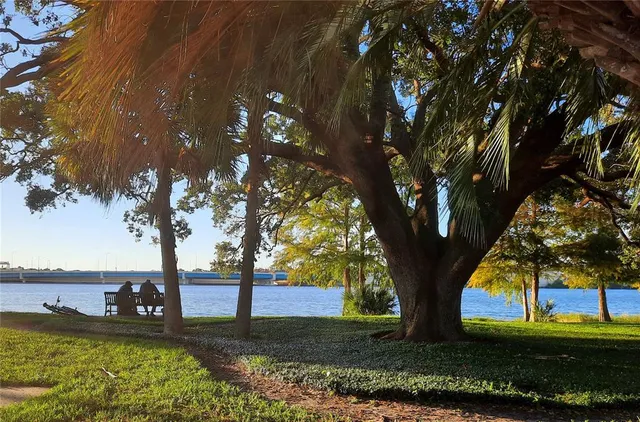 a view of a yard with a tree