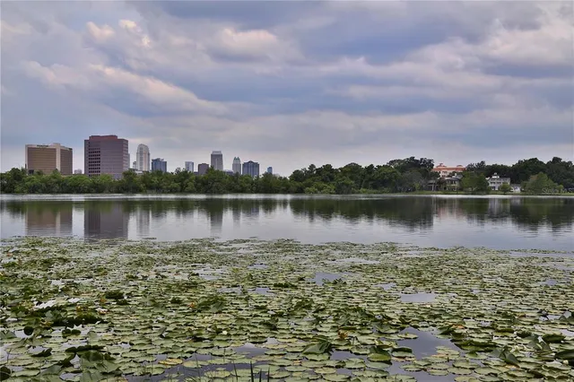 a view of a lake with a city view