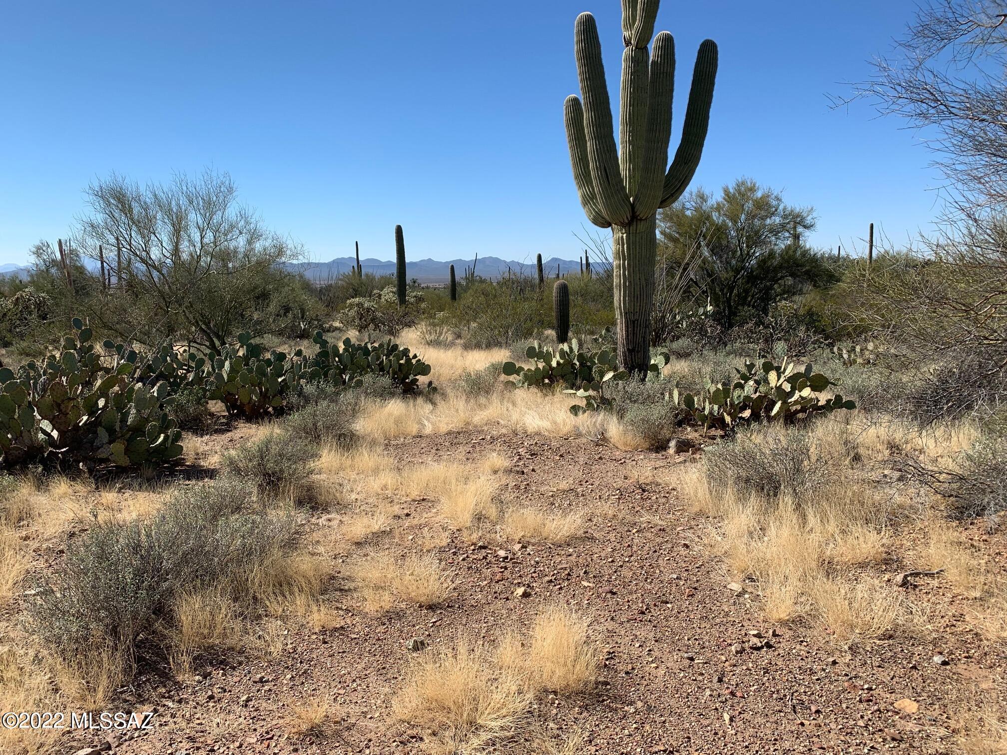 19-acres West Mile Wide Road, Unit B Tucson, AZ 85743 - Photo 14 of 19