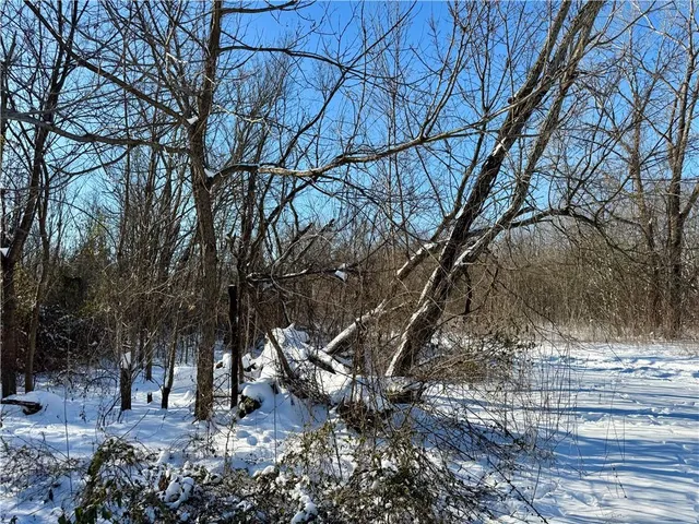 $5,500 | East Main Street, Hume, MO 64752