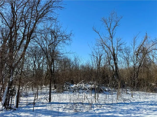 $5,500 | East Main Street, Hume, MO 64752