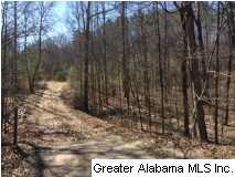 Cheshire Lane Pelham, AL 35124 - Photo 17 of 17