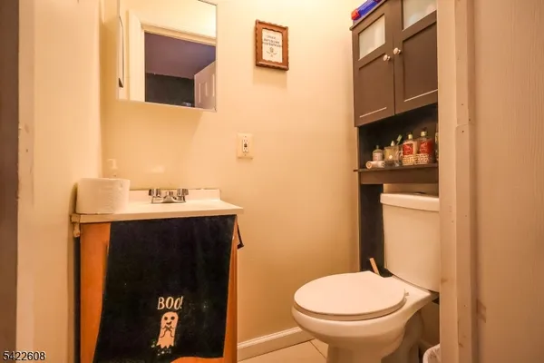 a bathroom with a sink and a toilet