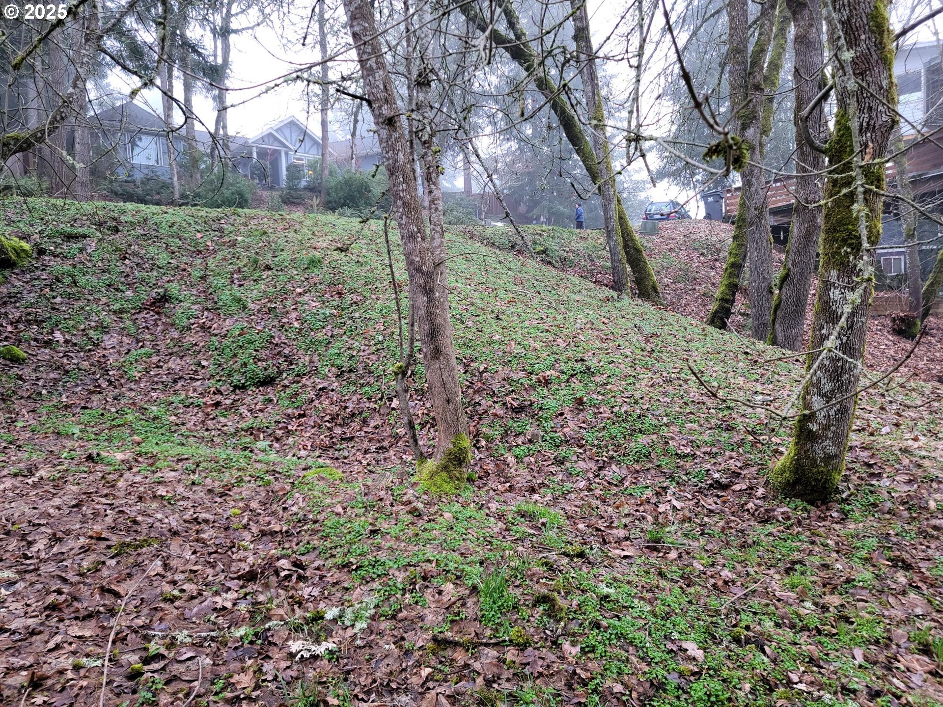 Barber Drive Eugene, OR 97405 - Photo 11 of 14