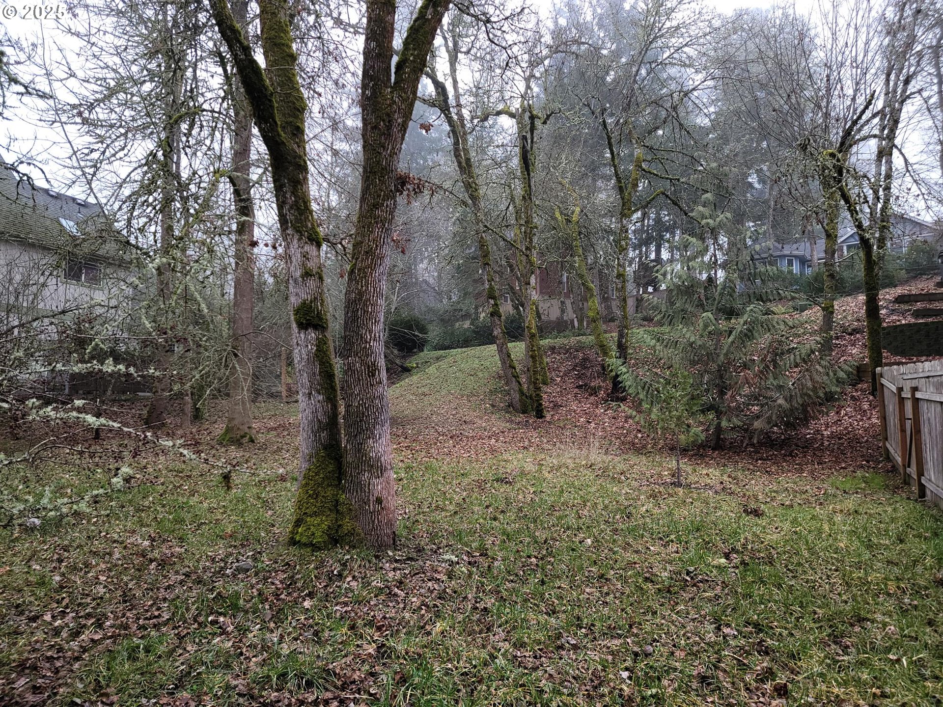 Barber Drive Eugene, OR 97405 - Photo 10 of 14
