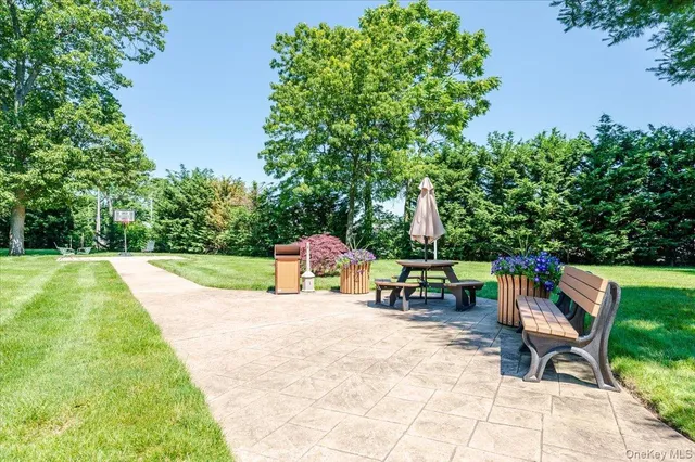 a view of backyard with a table and chairs a barbeque with a potted plant