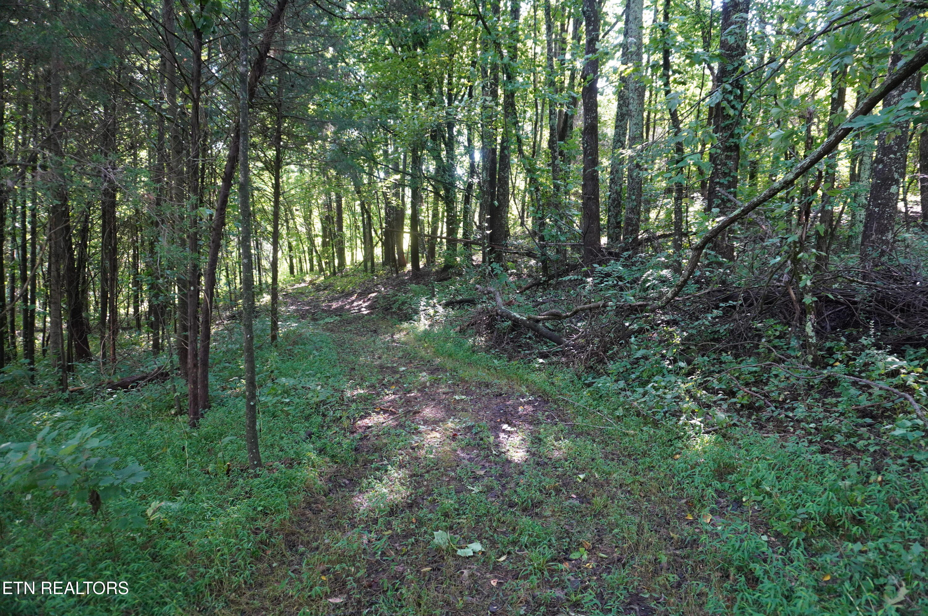 17 Pleasant View Cemetery Road New Market, TN 37820 - Photo 11 of 40 new list 1-2026 (10)