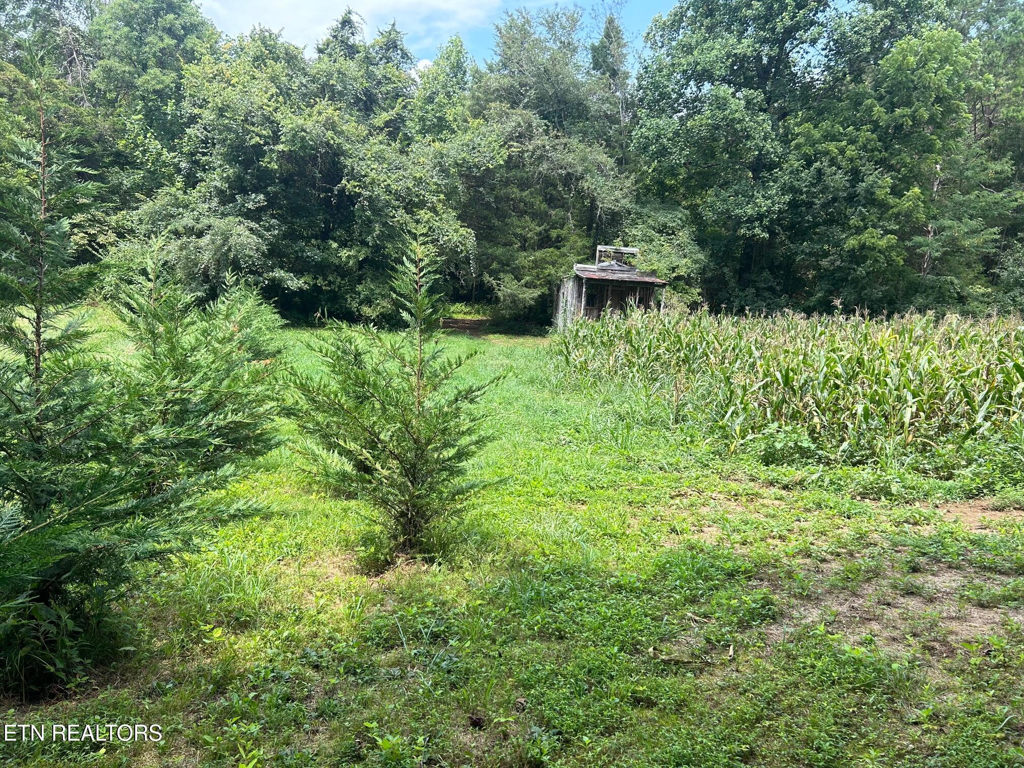 17 Pleasant View Cemetery Road New Market, TN 37820 - Photo 27 of 40 new list 1-2026 (48)