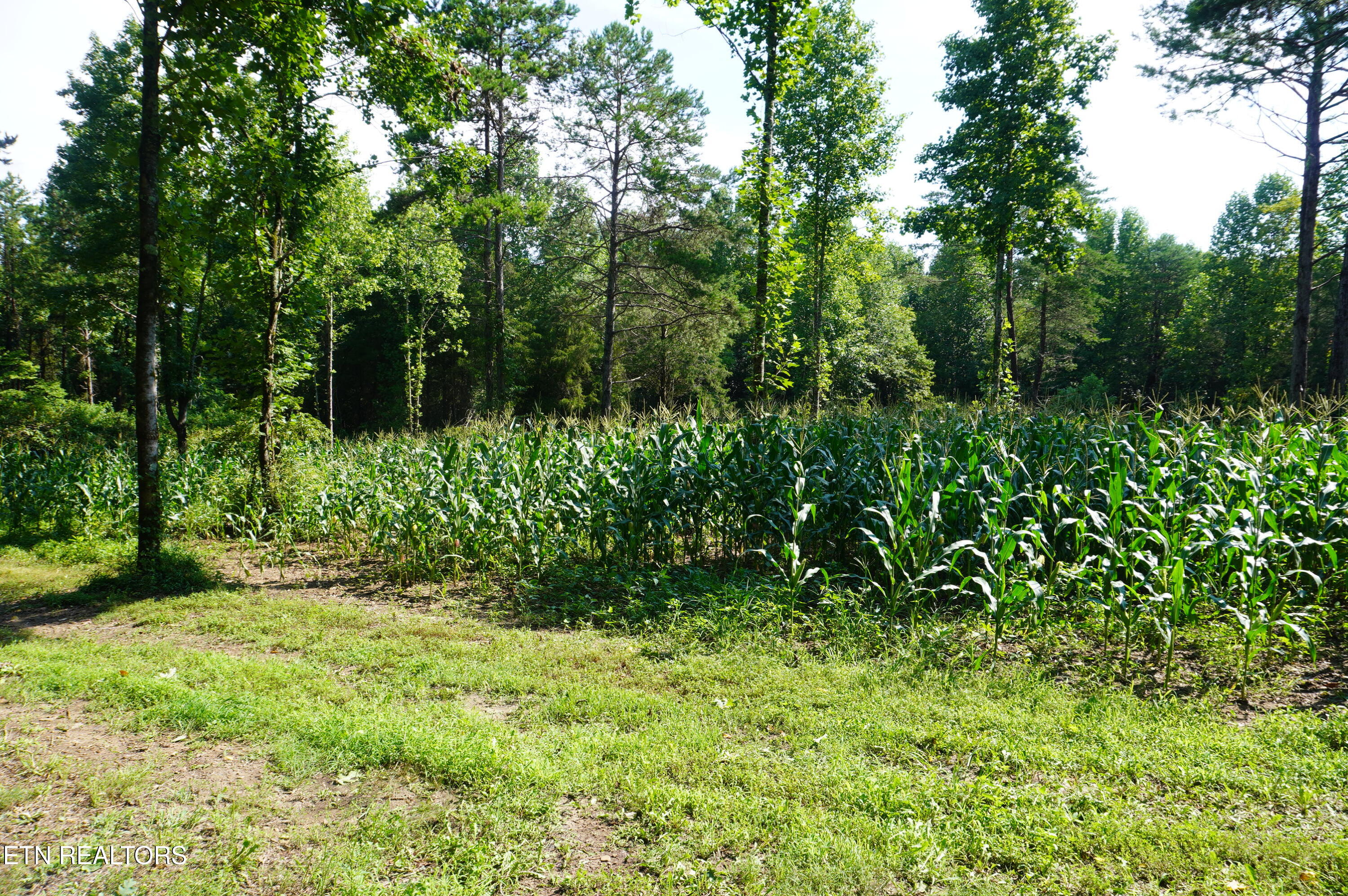 17 Pleasant View Cemetery Road New Market, TN 37820 - Photo 8 of 40 new list 1-2026 (7)