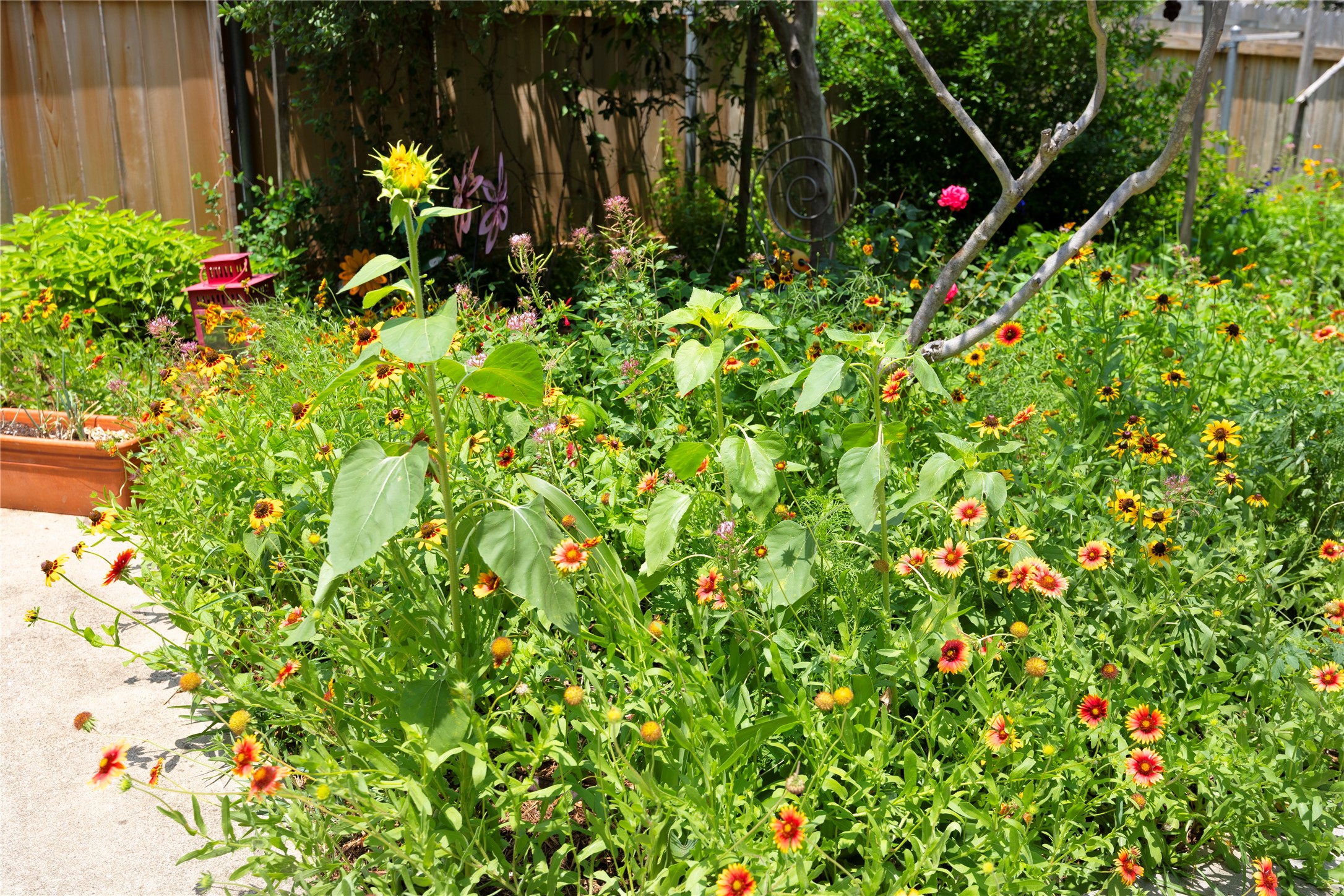 504 Tyree Road Cedar Park, TX 78613 - Photo 31 of 35