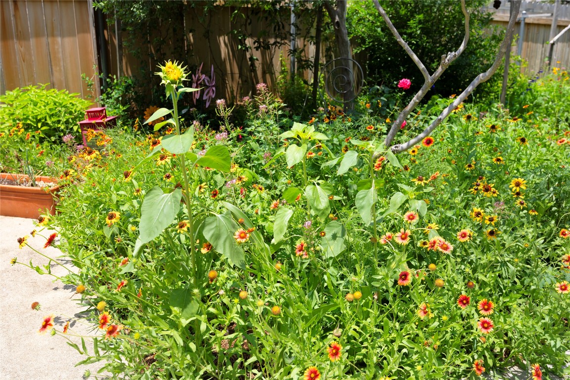 504 Tyree Road Cedar Park, TX 78613 - Photo 31 of 35