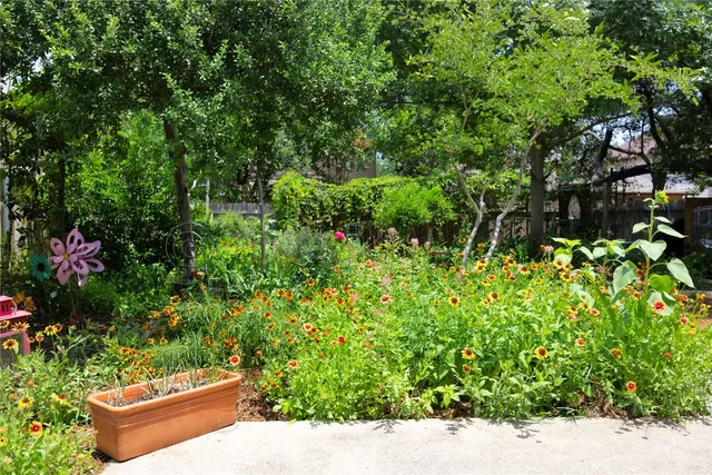 a view of a garden with plants