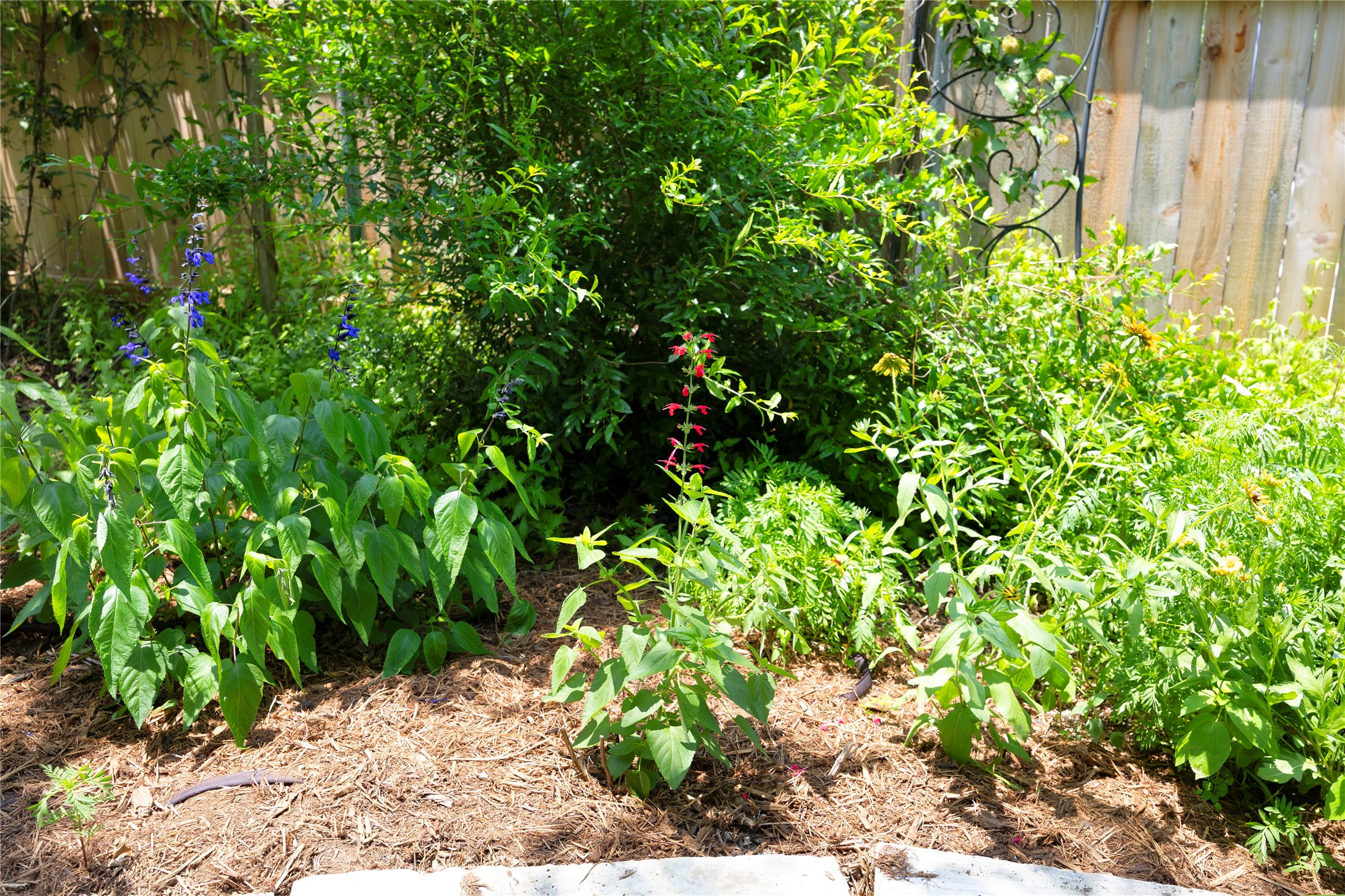 504 Tyree Road Cedar Park, TX 78613 - Photo 35 of 35