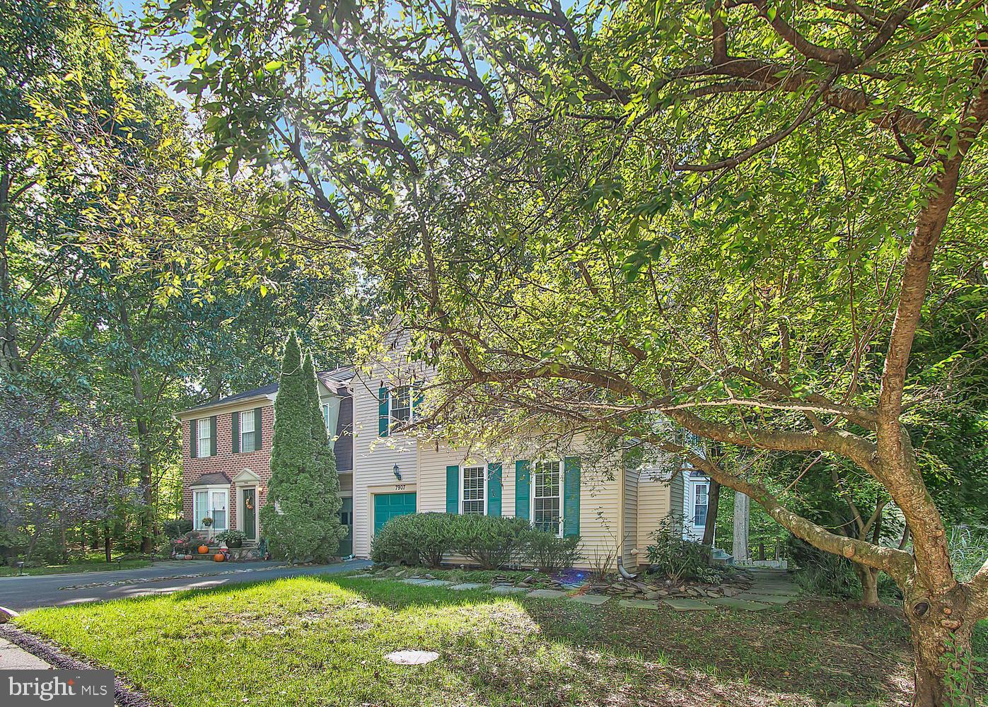 7907 Gambrill Court Springfield, VA 22153 - Photo 3 of 36 Gallery Image 3