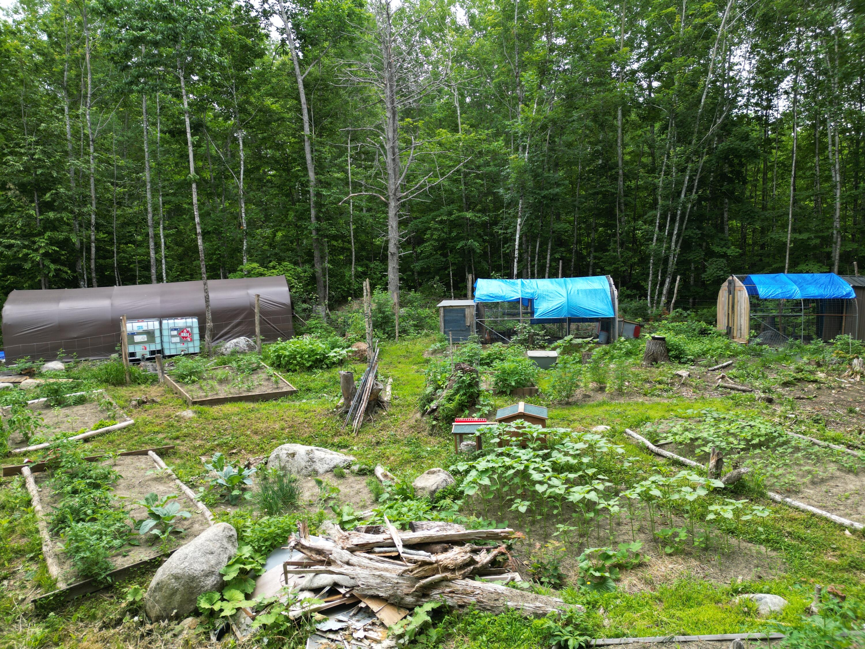 135 Clearcut Lodge Road Springfield, ME 04487 - Photo 5 of 23 DJI_0896