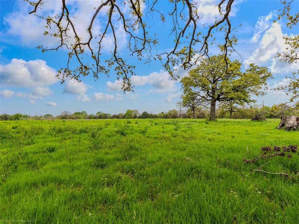 0 Eason Street Terrell, TX 75160 - Photo 14 of 17 View of local wilderness featuring a rural view