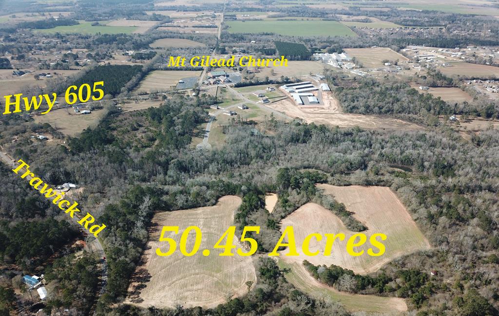50.45-acres Trawick Road Dothan, AL 36301 - Photo 2 of 62