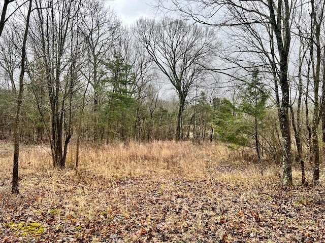 0 Old Shannon Road Lebanon, TN 37090 - Photo 2 of 7