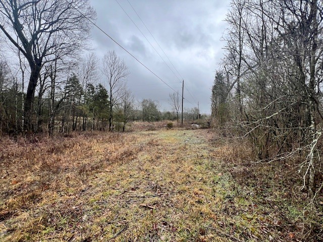 0 Old Shannon Road Lebanon, TN 37090 - Photo 6 of 7