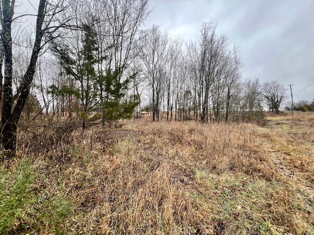 0 Old Shannon Road Lebanon, TN 37090 - Photo 7 of 7