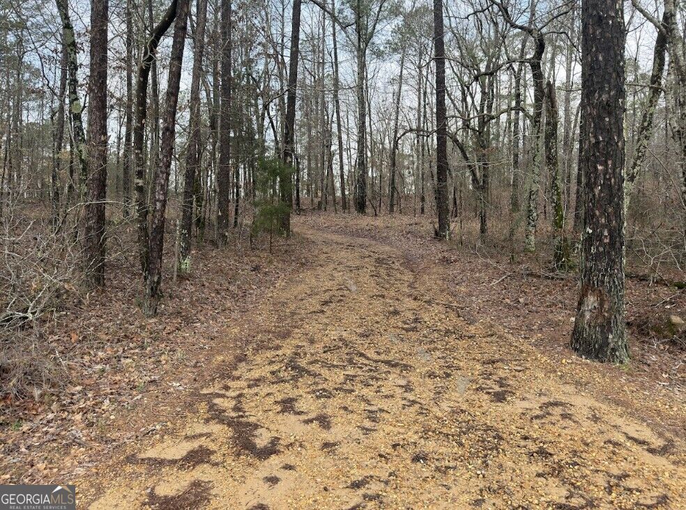 0 Otts Road, Unit A Fayette, AL 35555 - Photo 2 of 17 Gallery Image 2