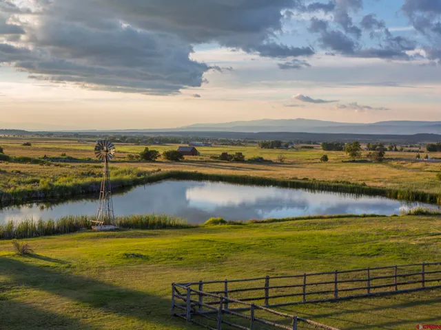 a bed room with a bed and a window