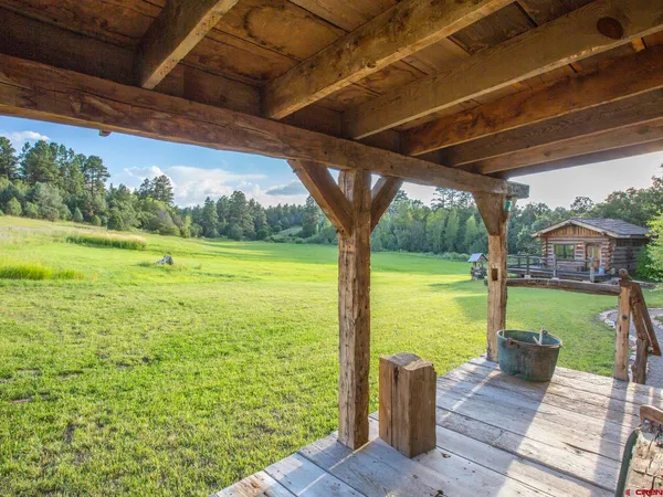 a view of a park with large trees