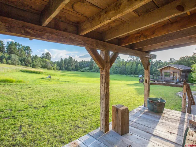 a view of a park with large trees