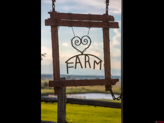 a view of a forest with trees in the background