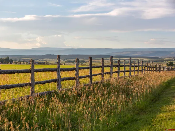 a view of a food mall next to a yard