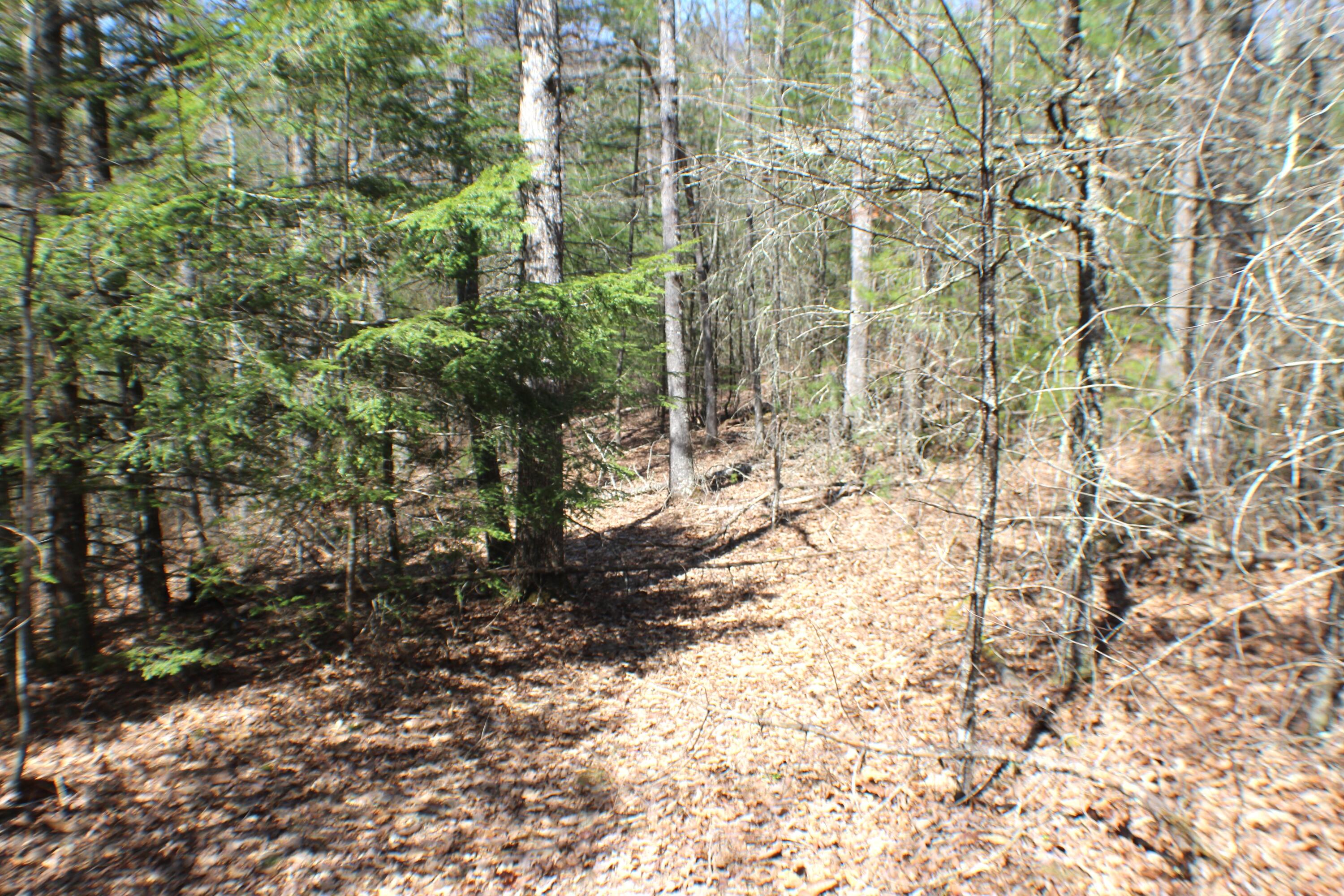 445 Rider Gap Road Marlinton, WV 24954 - Photo 20 of 26 Gallery Image 20