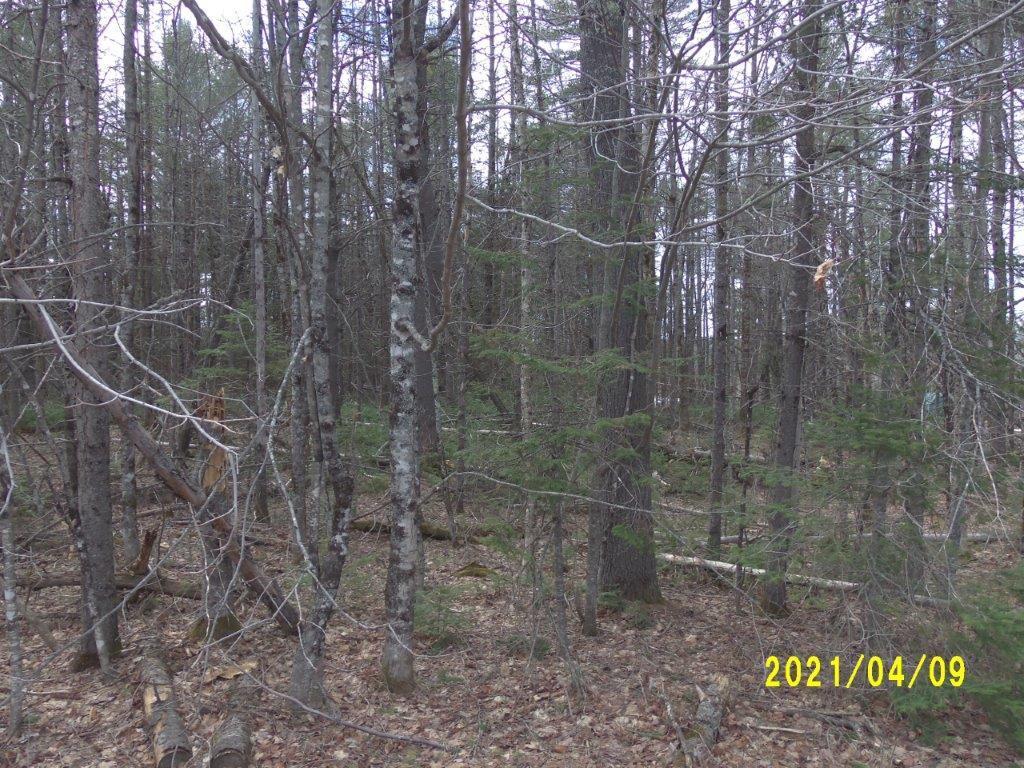0 Route 150 Parkman, ME 04443 - Photo 3 of 5 125_5692