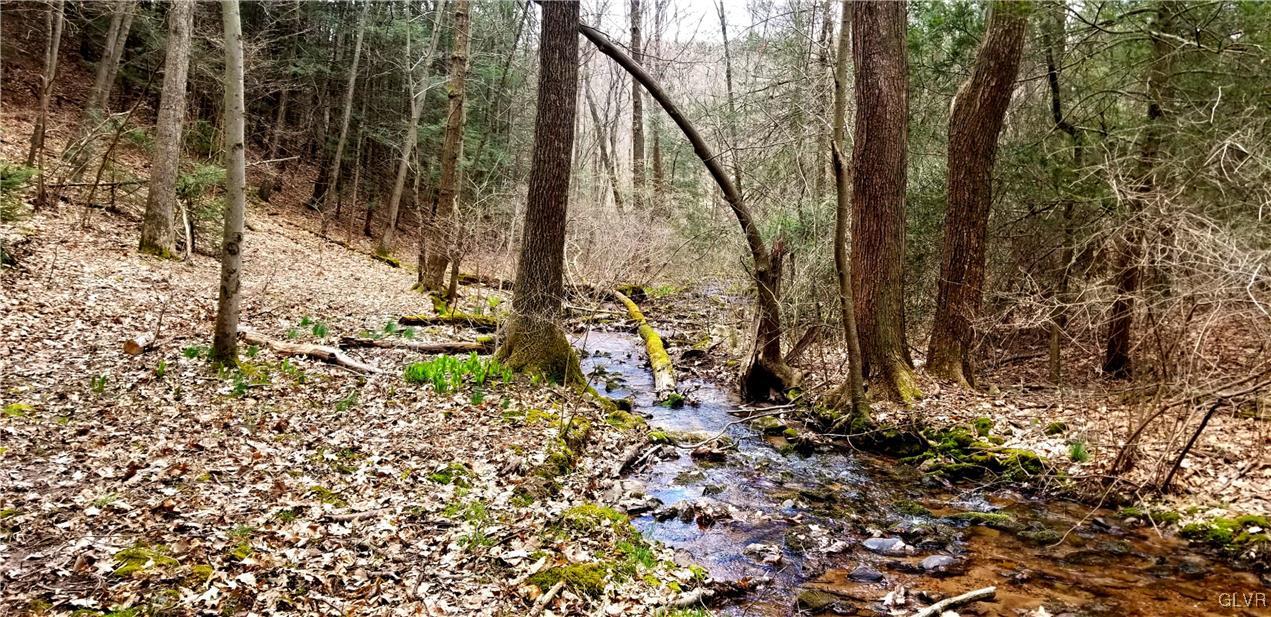1 Mill Road Lehighton, PA 18235 - Photo 3 of 6 stream runs throughout the property
