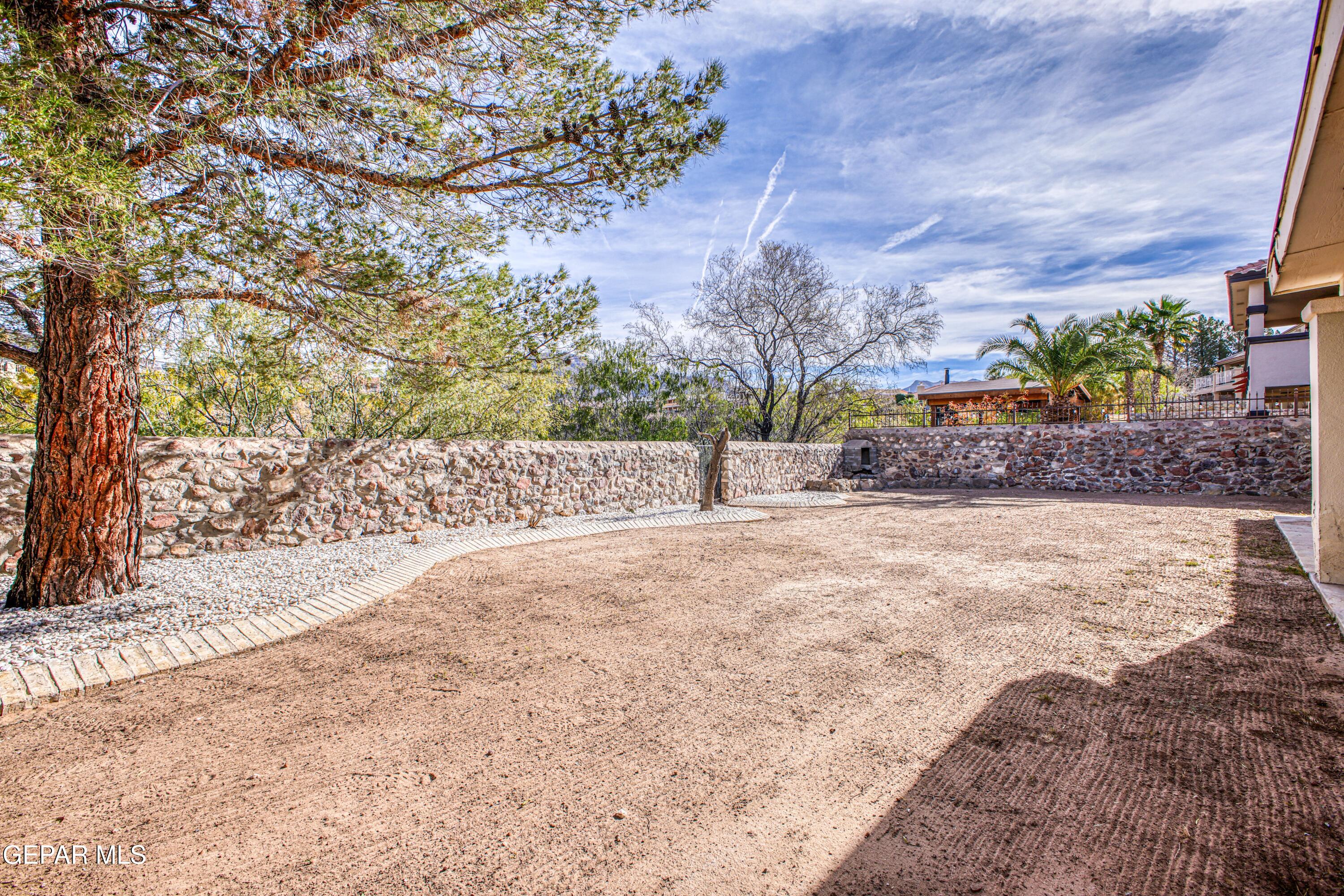 6565 Eagle Ridge Drive El Paso, TX 79912 - Photo 55 of 60 a view of a yard with plants and trees