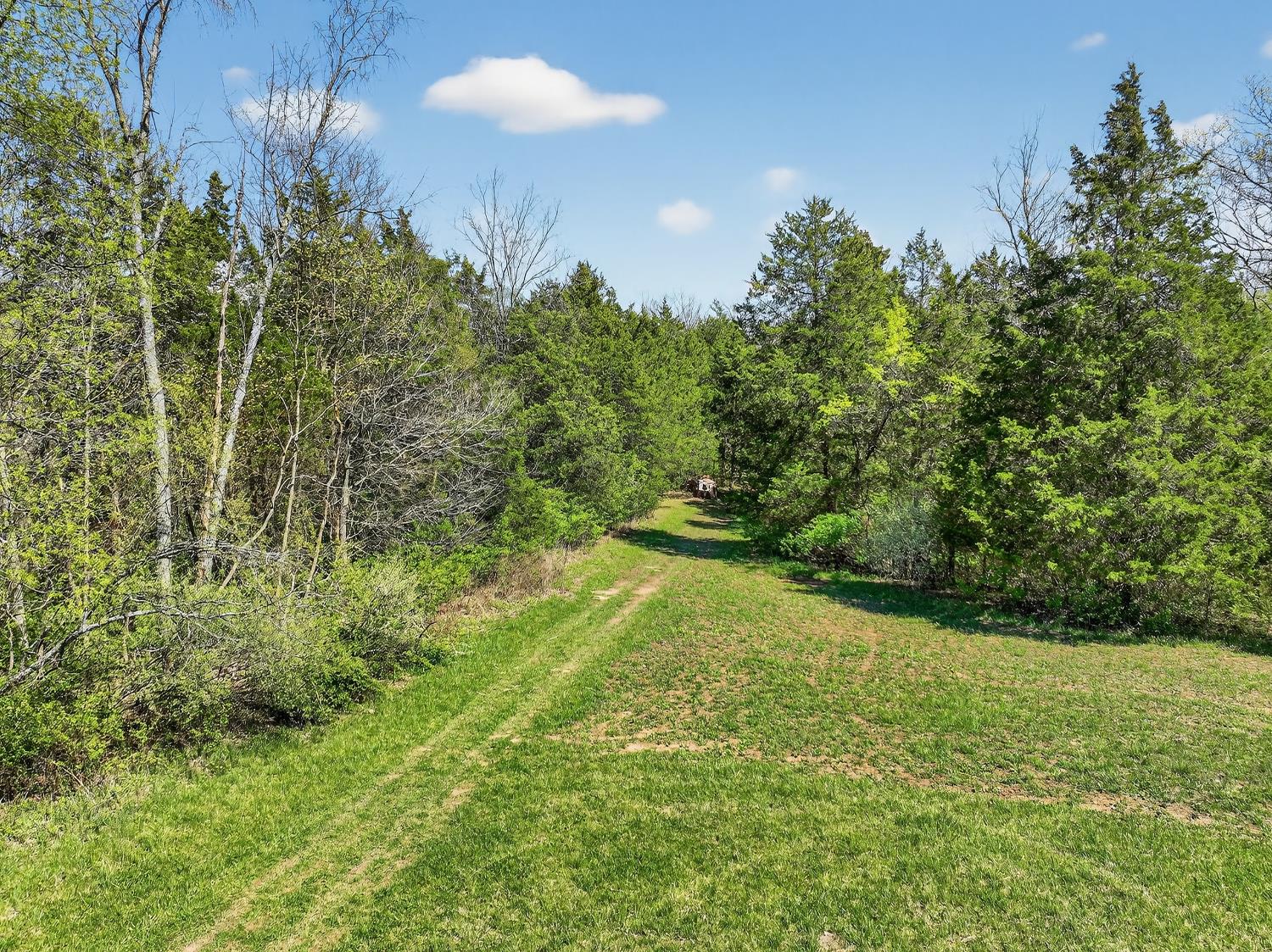 6274 State Road 129 Vevay, IN 47043 - Photo 35 of 47