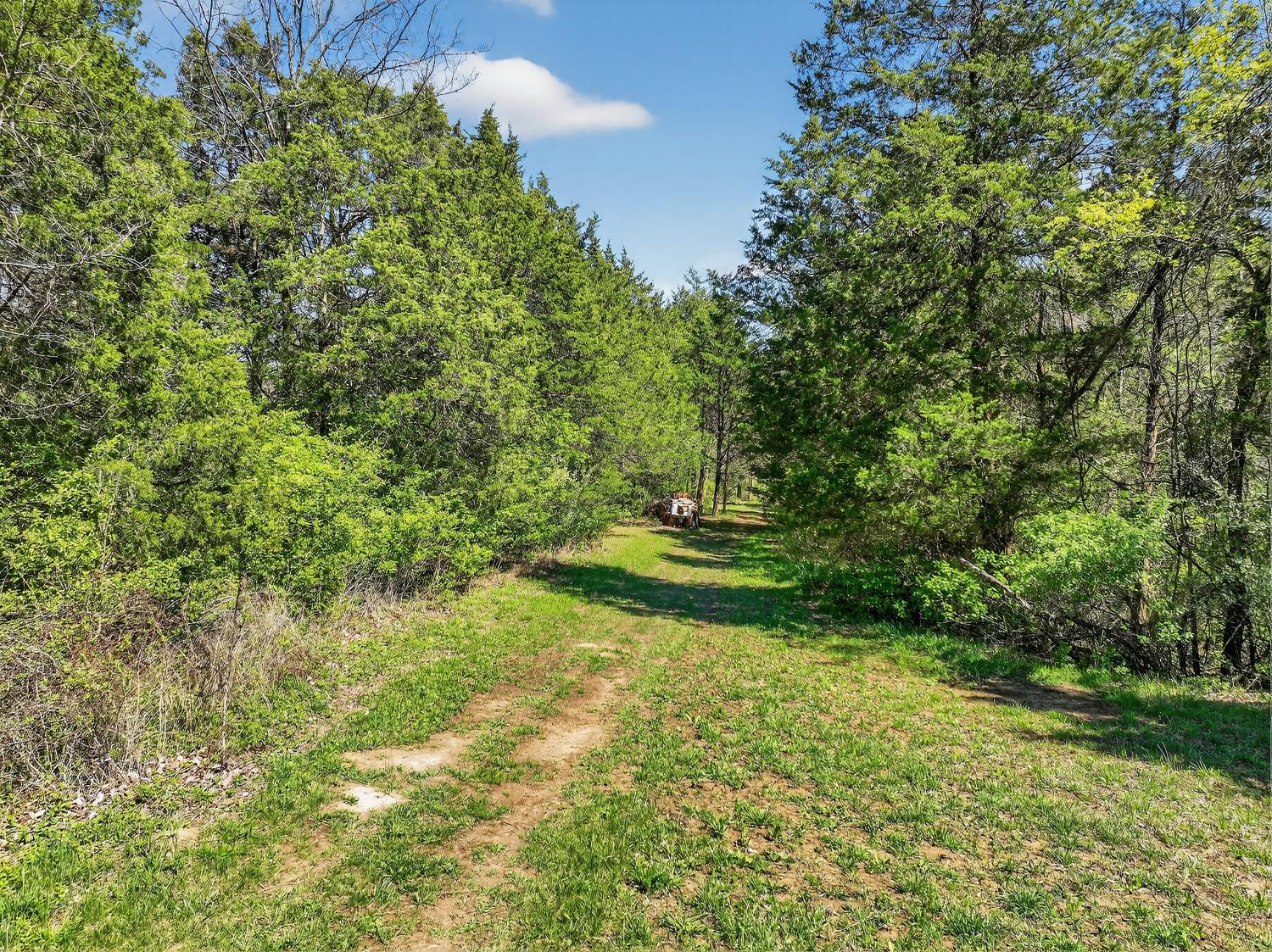 6274 State Road 129 Vevay, IN 47043 - Photo 36 of 47