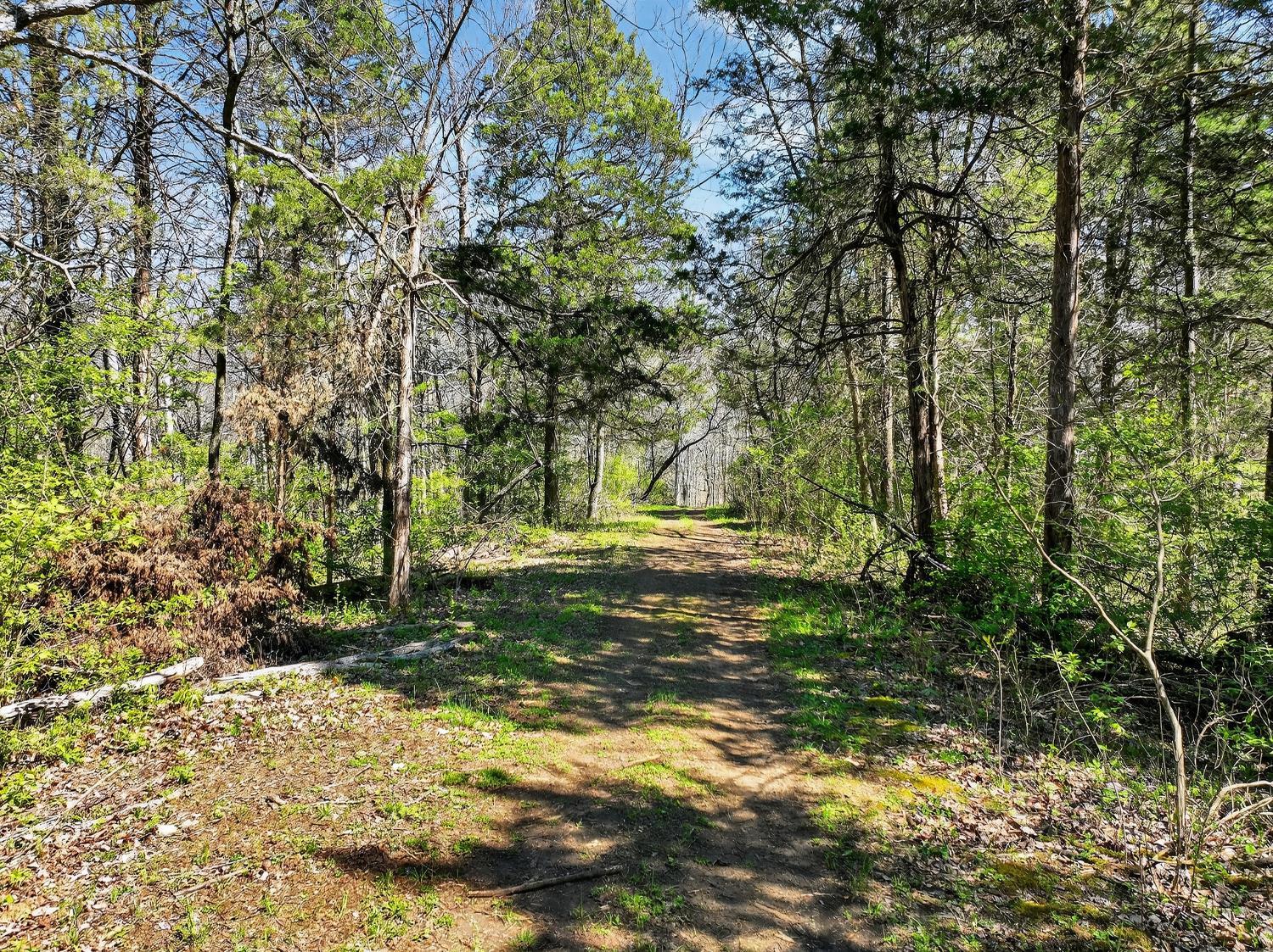 6274 State Road 129 Vevay, IN 47043 - Photo 38 of 47