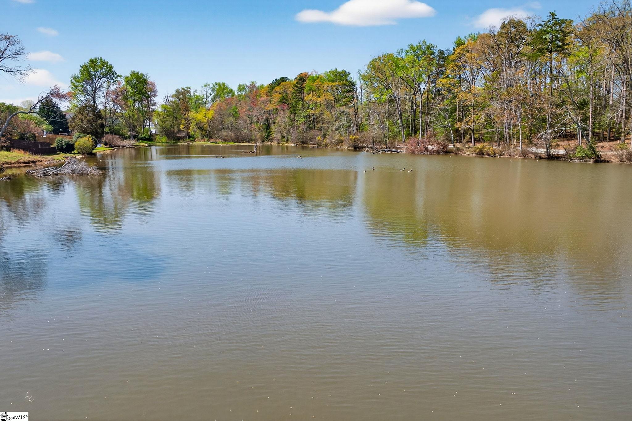 507 Fairview Lake Way Simpsonville, SC 29680 - Photo 40 of 48