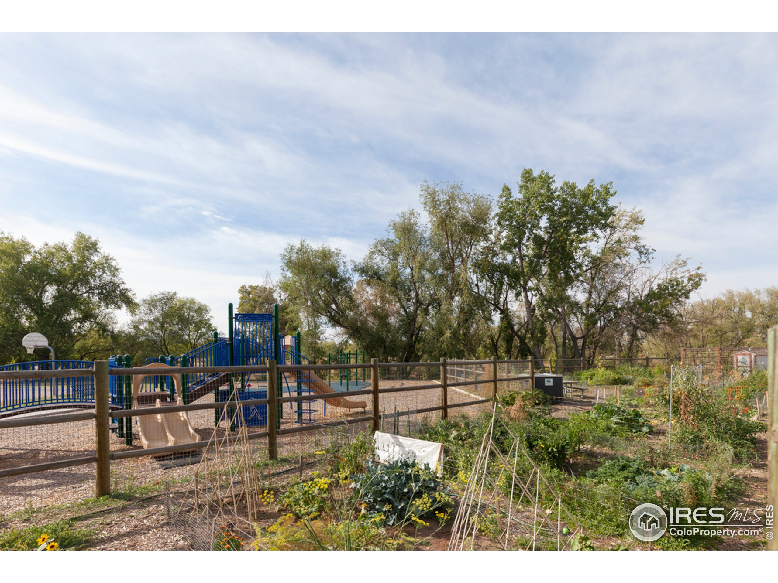 225 3rd Street Fort Collins, CO 80524 - Photo 20 of 26