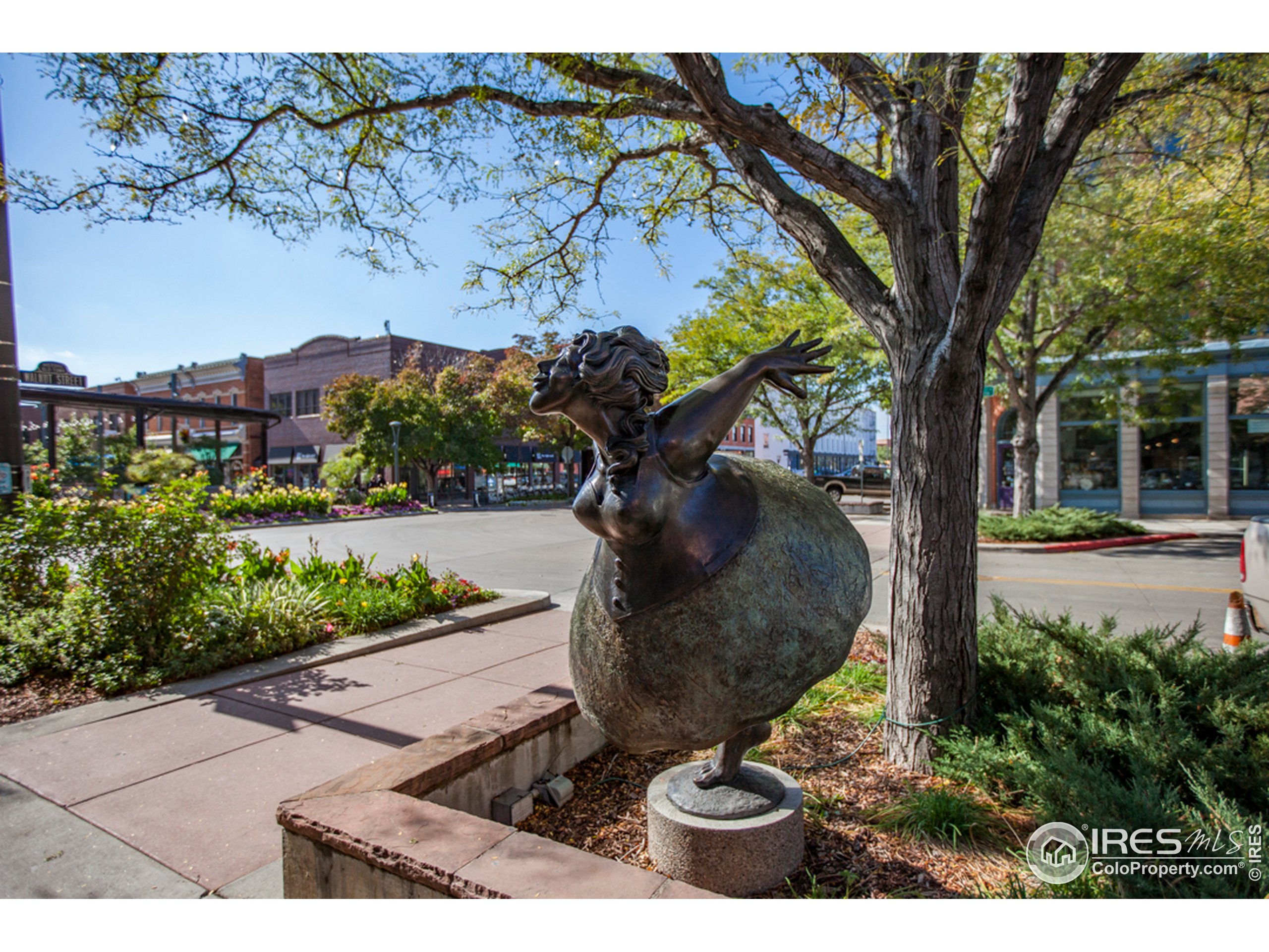 225 3rd Street Fort Collins, CO 80524 - Photo 7 of 26