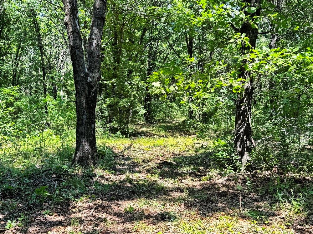 Tbd3 East 1550 Road Jerico Springs, MO 64756 - Photo 24 of 42