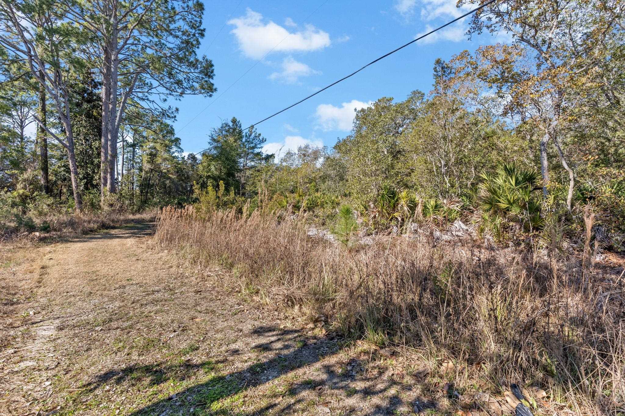 115 Kansas Street Carrabelle, FL 32322 - Photo 15 of 18
