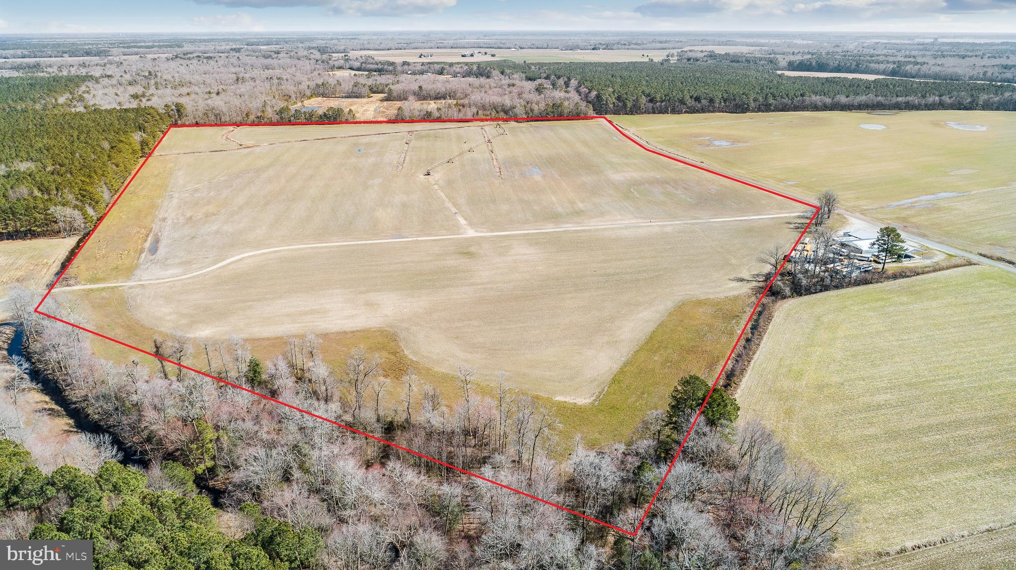 Maiden Forest Road Rhodesdale, MD 21659 - Photo 1 of 18