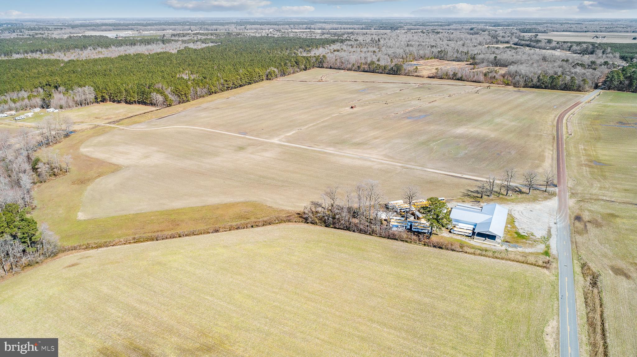 Maiden Forest Road Rhodesdale, MD 21659 - Photo 11 of 18