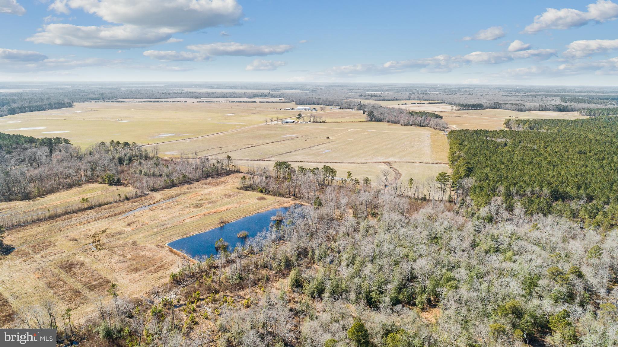 Maiden Forest Road Rhodesdale, MD 21659 - Photo 13 of 18