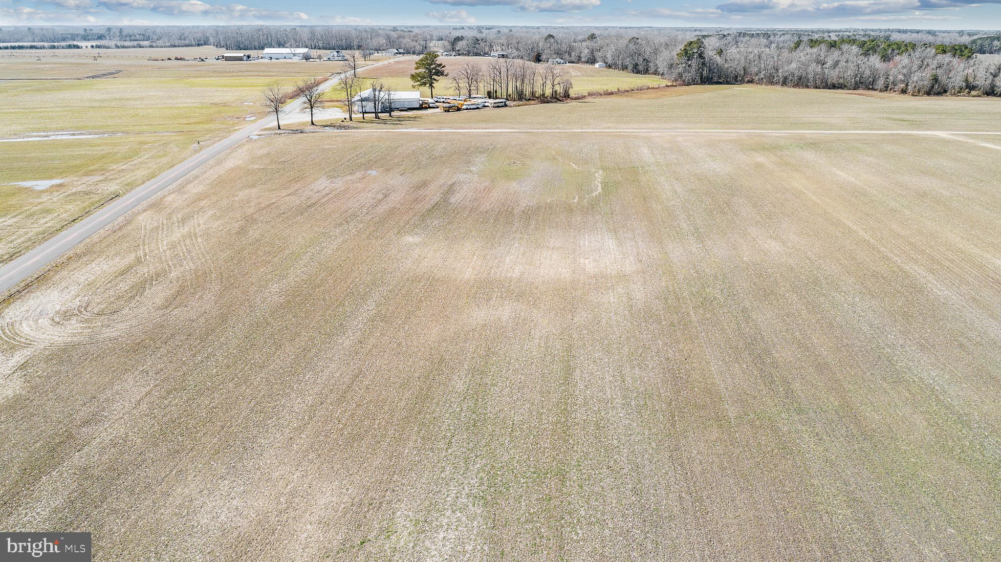 Maiden Forest Road Rhodesdale, MD 21659 - Photo 14 of 18
